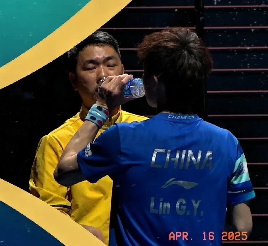 包含奥地利乒乓球队绝杀韩国乒乓球队，水谷隼送出助攻的词条