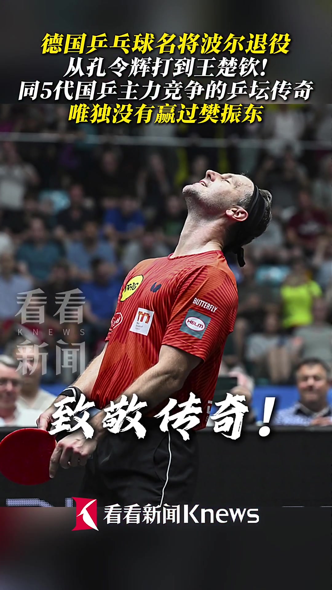 开云体育入口-包含奥地利乒乓球队逆转瑞典乒乓球队，波尔打破历史纪录的词条