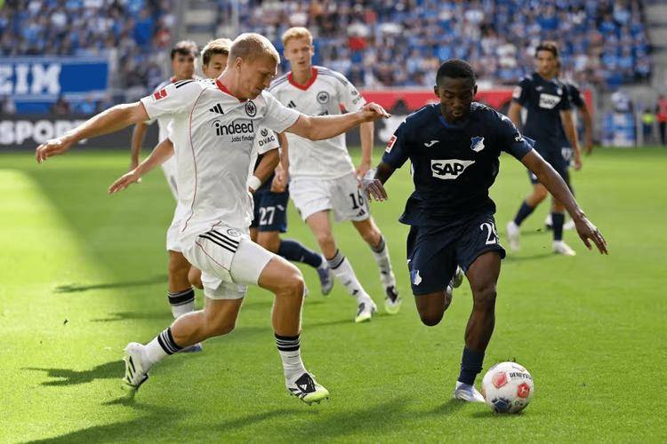 开云体育APP下载-沃尔夫斯堡主场不敌对手，遭遇失利的简单介绍