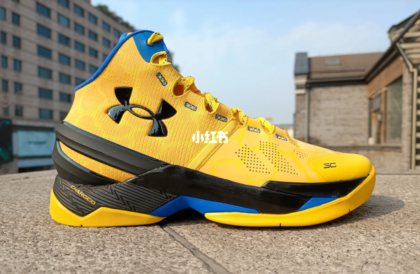 开云官网-关于莱比锡红牛逆转塞维利亚，博格巴2三分雨点燃全场的信息