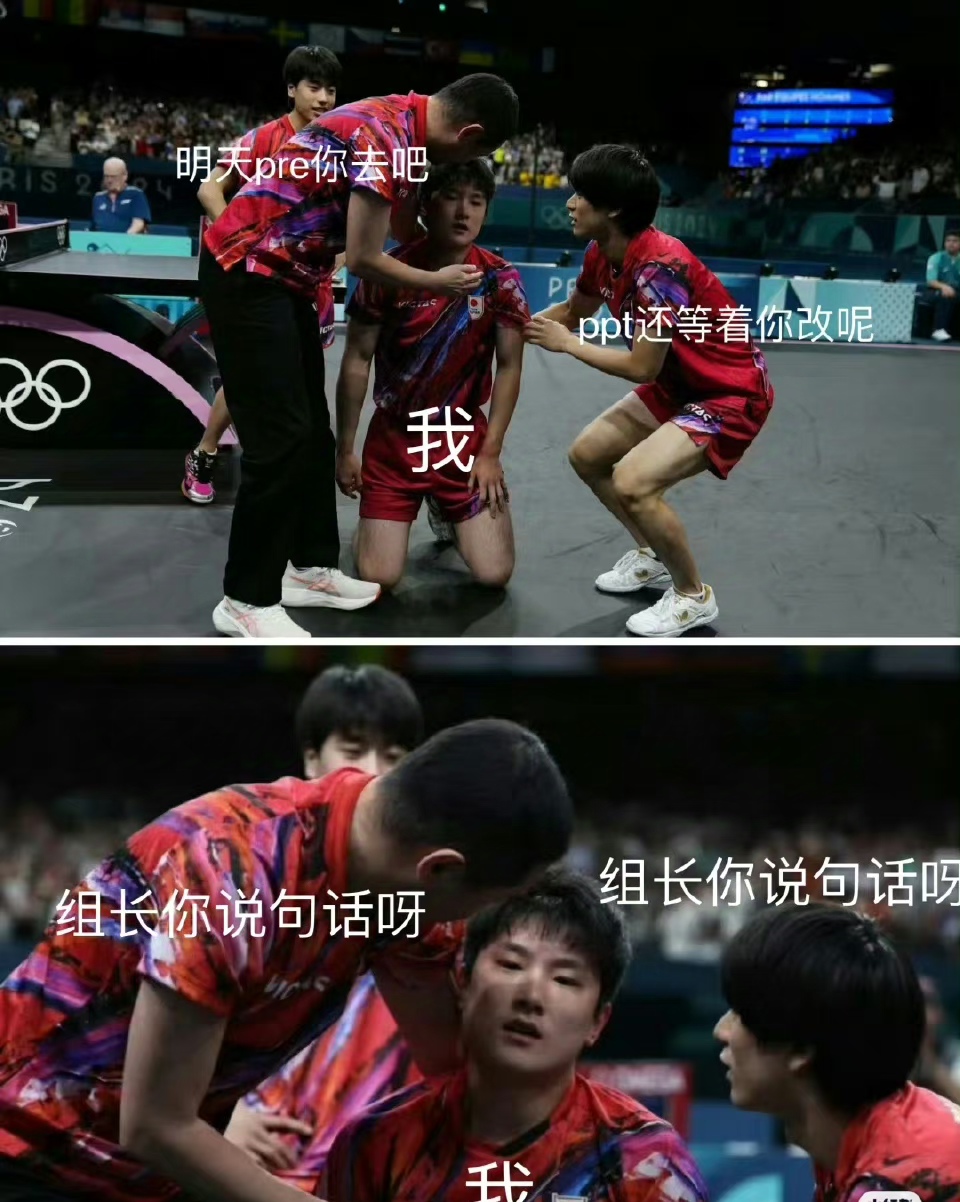 开云体育官网-关于奥地利队横扫法国队，张本智和惊艳四座的信息