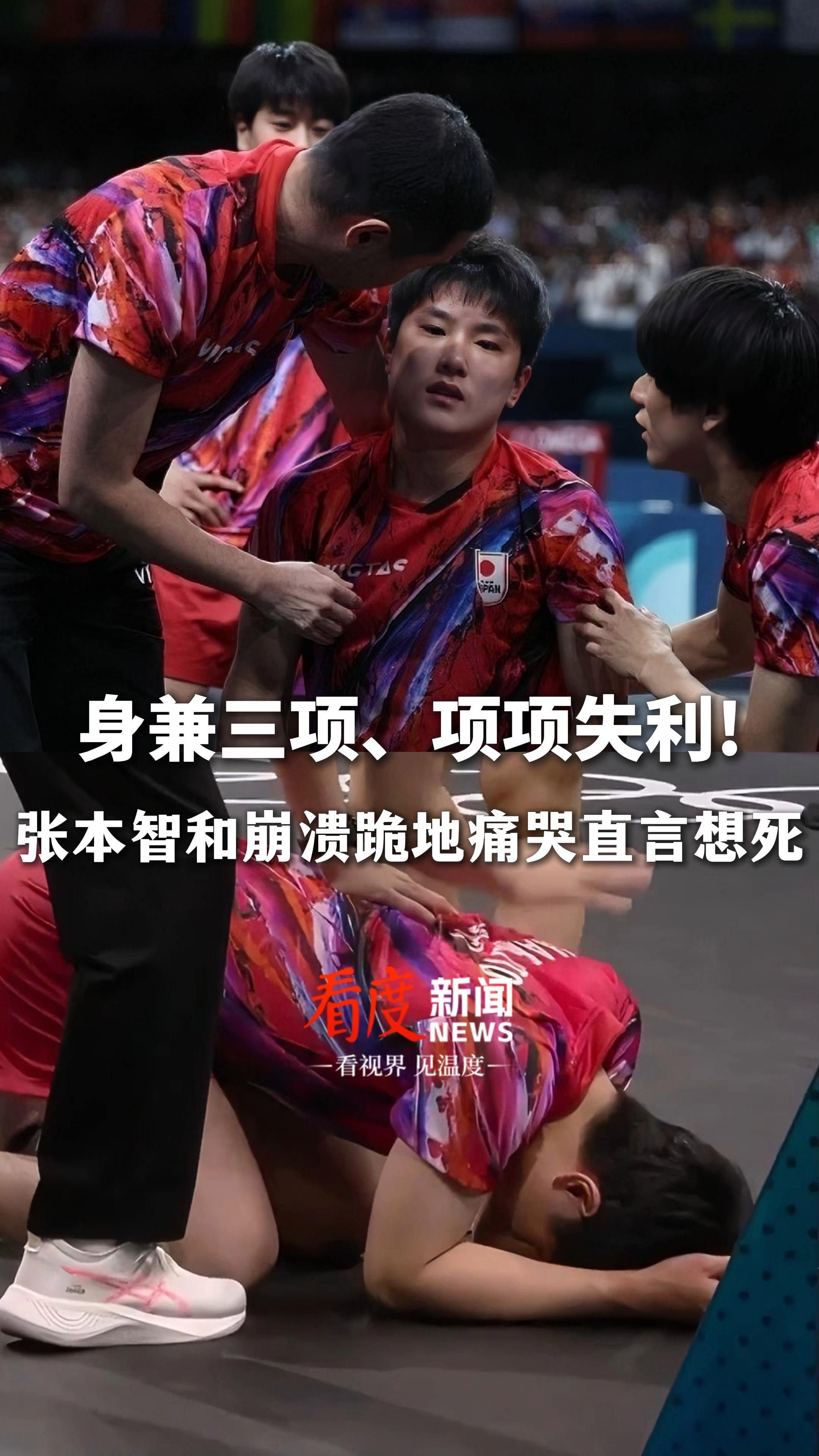 关于奥地利队横扫法国队，张本智和惊艳四座的信息