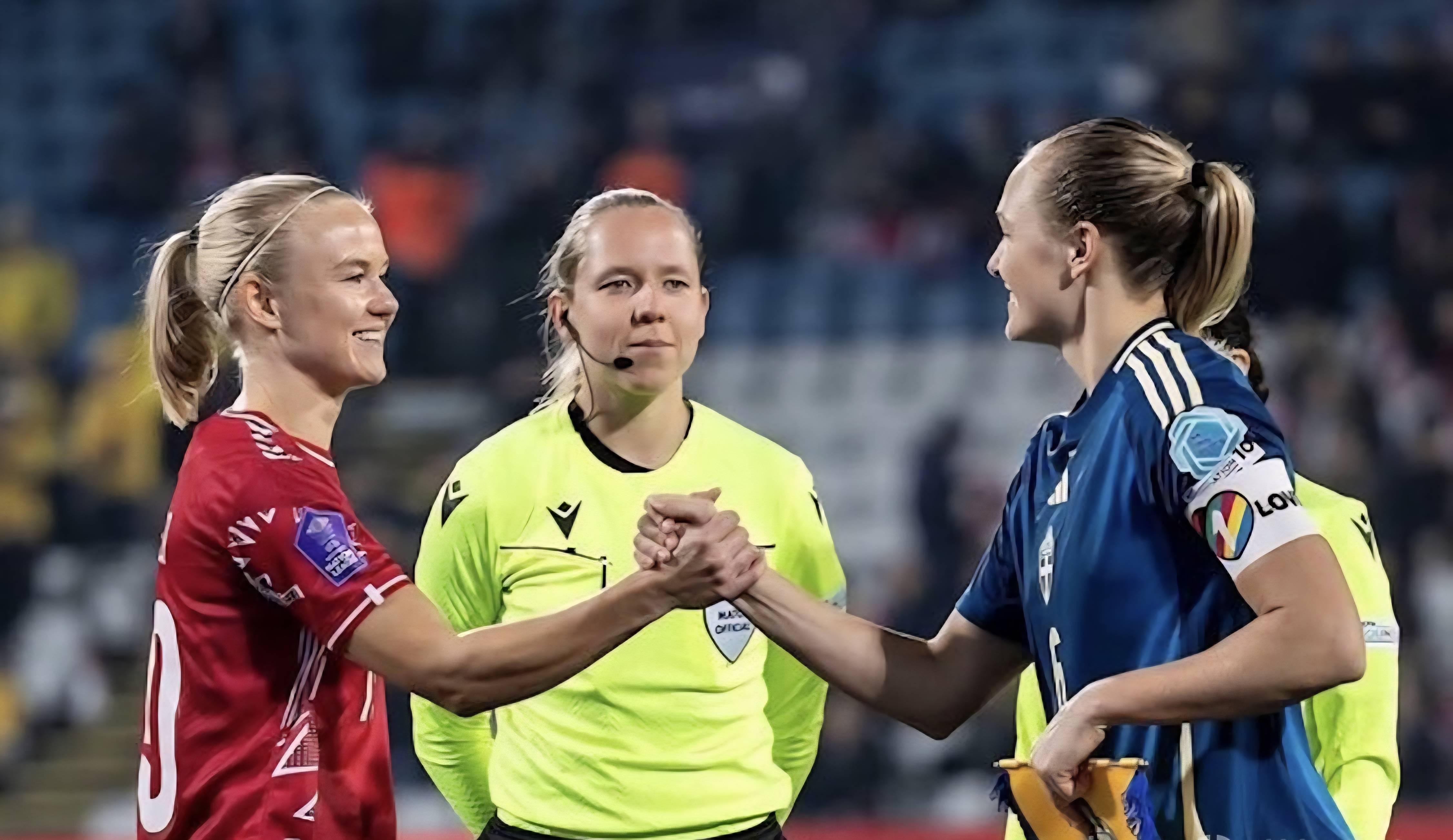 开云体育官方网站-波兰力克日本，萨内点燃赛场的简单介绍