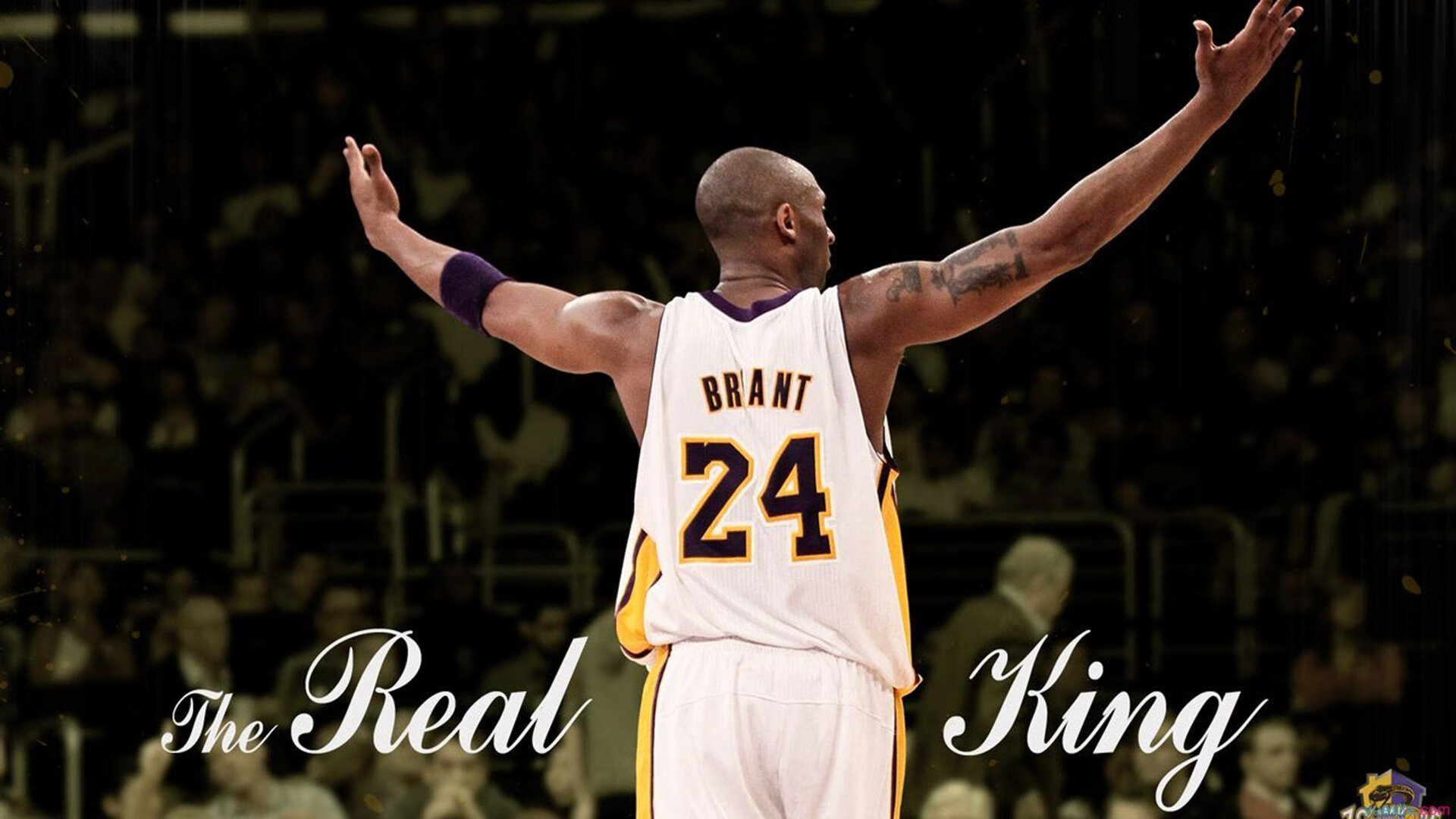 开云体育官网-教科书般的统治力，字母哥如何带领雄鹿淘汰奇才