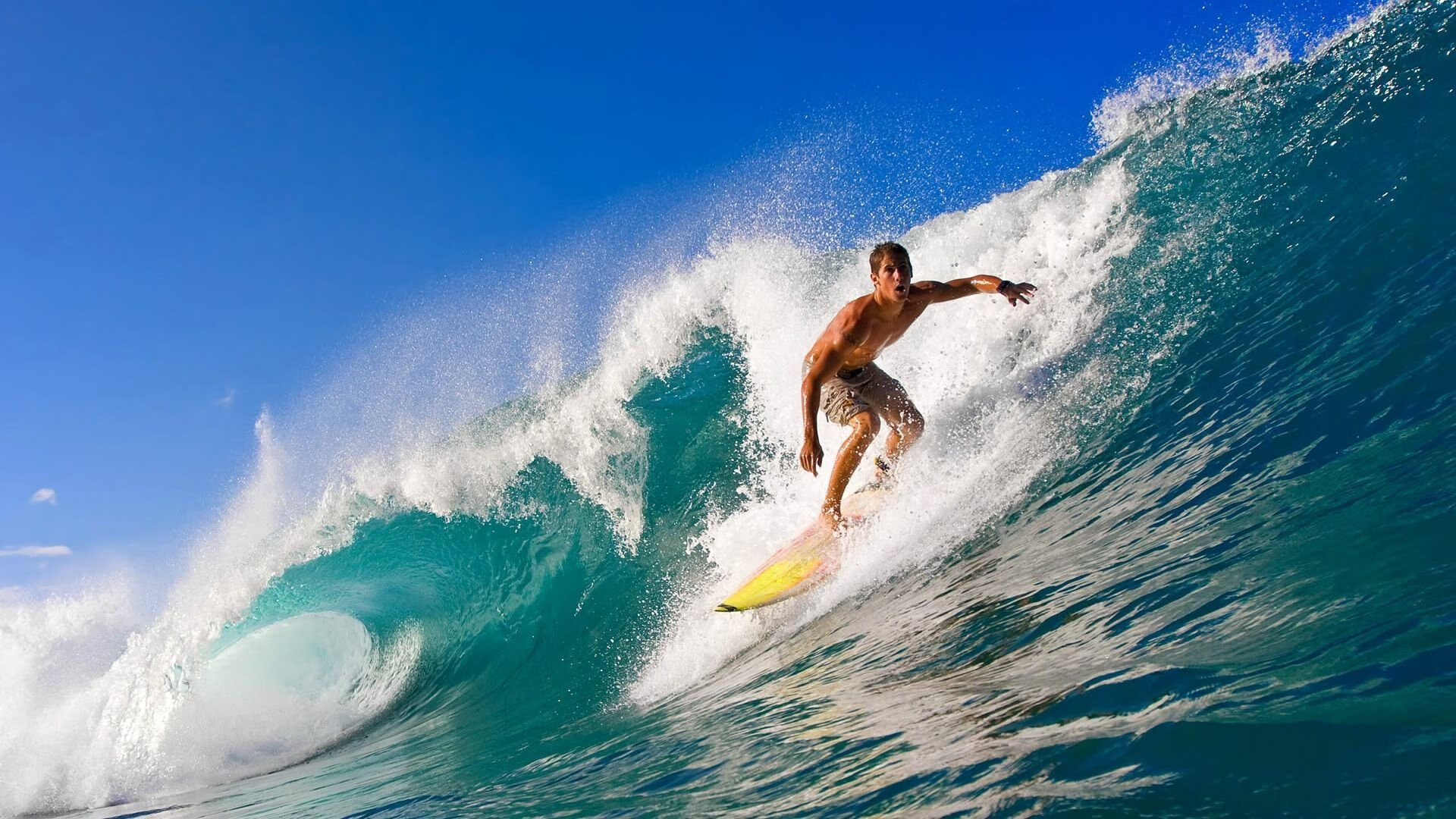 孤星闪耀与团队脊梁，威廉姆斯的精准突袭与阿隆索的扛鼎之战